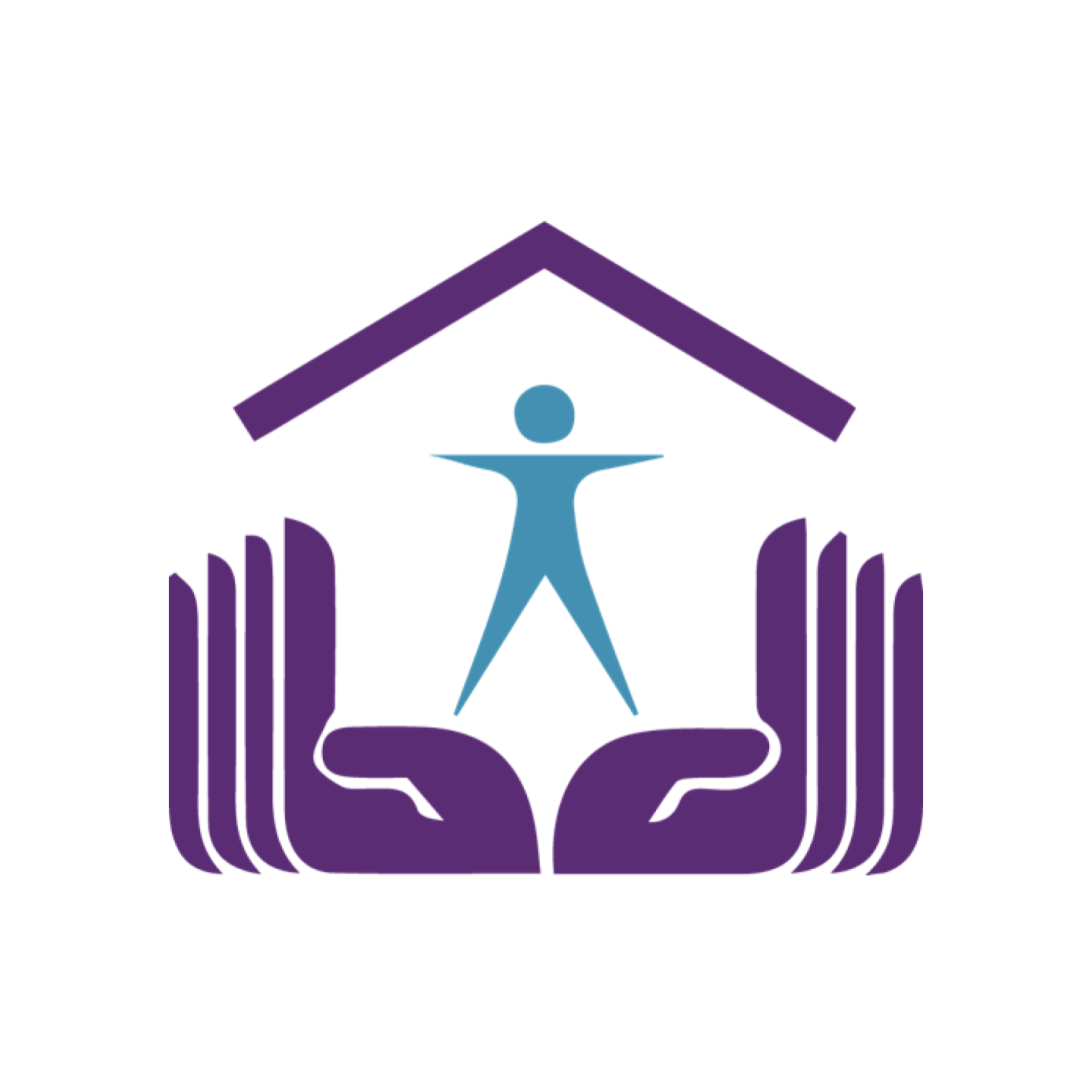 Retraining the Village logo